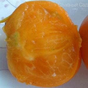 Томат Хурма коллекционный желтый сорт томата