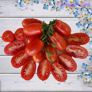 Томат Французский гроздевой ранний кистевой сорт томата