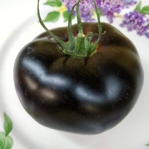 Томат Черная красавица черный помидор