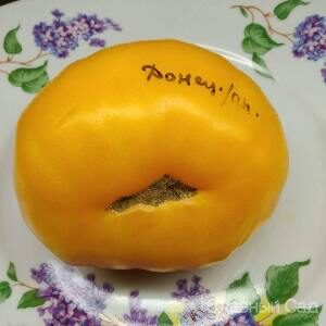 Томат Донецкий Апельсин желтый помидор