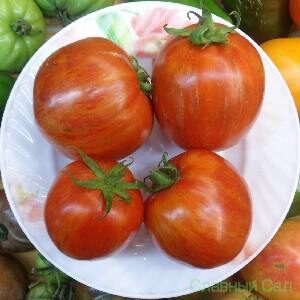 Томат Фейерверк красный помидор с желтыми полосками