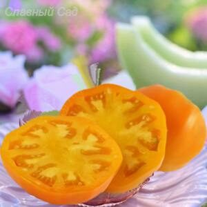 Томат Джим Денди редкий сорт томата из США