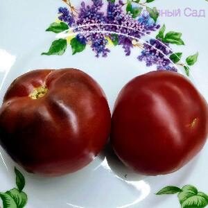 Томат Моя Любимая Мама редкие сорта томатов вишневого цвета