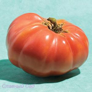 Томат Радиатор Чарли редкий американский сорт томатов сорт