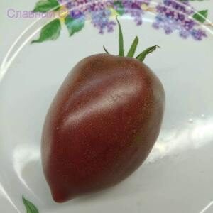 Томат Роксана сорт томатов шоколадного цвета