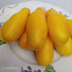 Томат Сибирские Бананы желтые томаты необычной формы