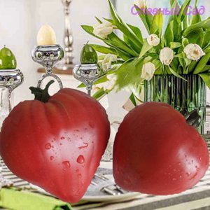 Томат Знаменитая клубника Миссис Шлаубах крупные сердцевидные томаты