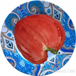 Томат Знаменитая клубника Миссис Шлаубах розовый сердцевидный помидор