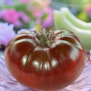 Томат Черный Крым коллекционный сорт помидоров