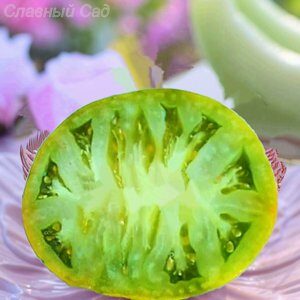 Томат Чероки Грин-зеленые томаты