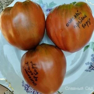 Томат Огненный гребень сердцевидные помидоры итальянской селекции.