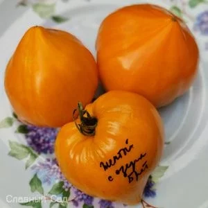 Томат Жёлтый с озера Брет желтые, оранжевые, сердцевидные помидоры.