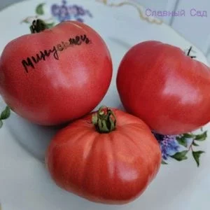Томат Домашний Минусинец сибирский сорт томатов.