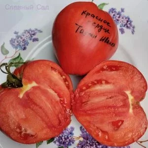 Томат Красное Сердце Тети Иванка. Крупноплодный сорт помидор.