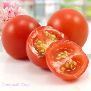 Томат Красная ягода Ивы. Сладкие помидоры черри.