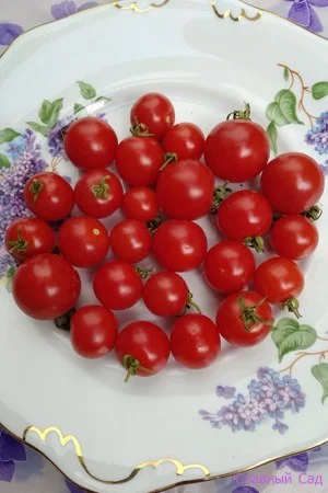 Томат Мармелад красный. Красные помидоры черри.